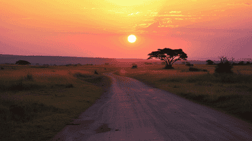 Serengeti Sunsets: Safari Adventures in Tanzania